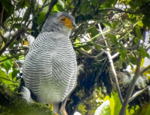 IMG_20211022_120124_567-slideshow