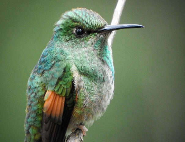 IMG_20211022_120126_268-slideshow