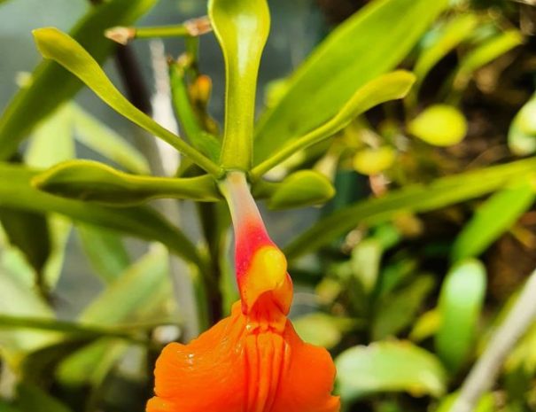 158814846_1056565104835544_9106815847547527778_nfull