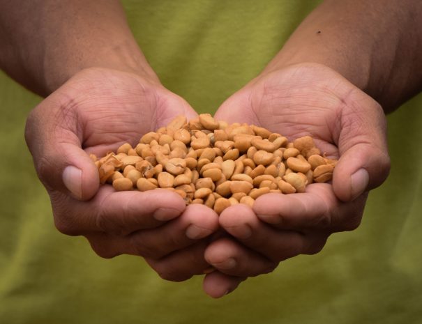 459512014_965700945603516_3307966085308117298_n