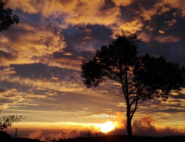 Atardecer Bajo del Tigre