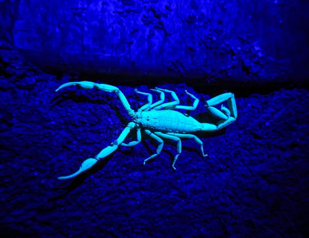 DONALD QUESADA C.-634 (1)