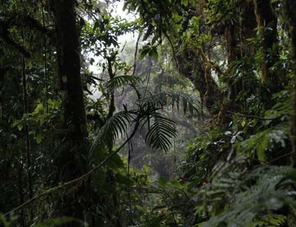 IMG_20200710_124320_838