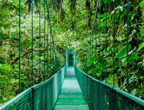 SUSPENSION BRIDGES(8)