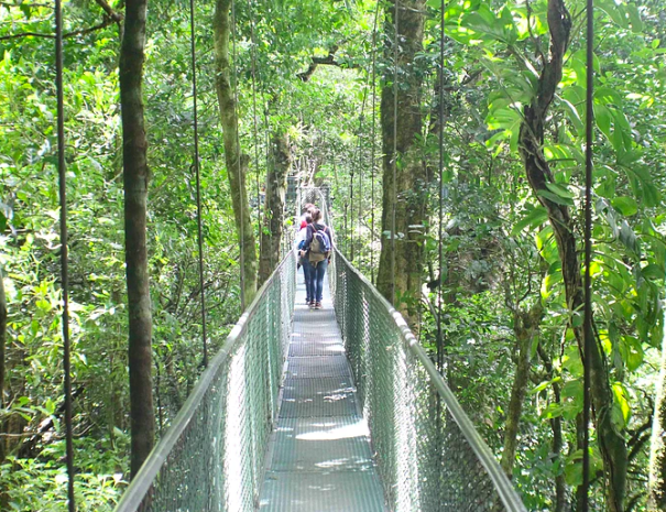 Screen-Shot-2018-04-20-at-1.49.12-PM-e1524254607762