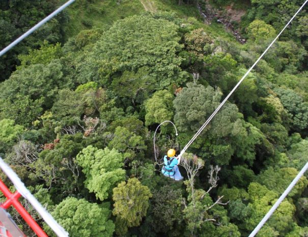 xr:d:DAFqkx98DSk:35,j:3471548086557180015,t:23080415