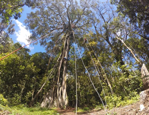 DCIM100GOPROGOPR1465.