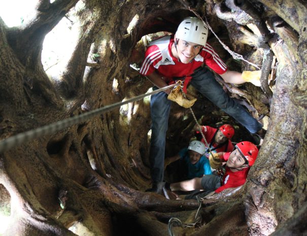 TreeTop Climbing01 - copia (2)