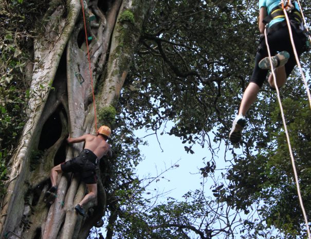 TreeTop Climbing02