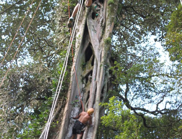 TreeTop Climbing04