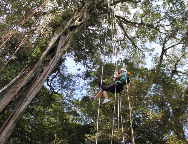 TreeTop Climbing05