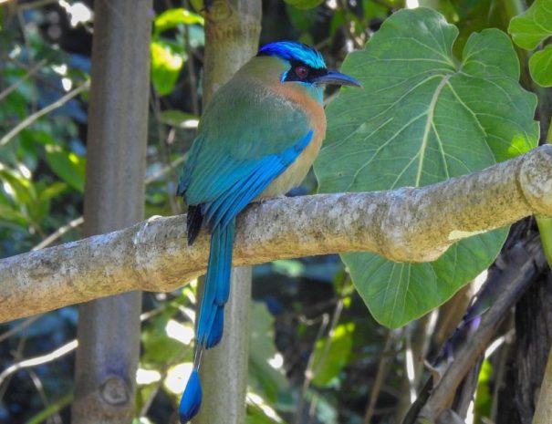 birdwatching-tour (2)