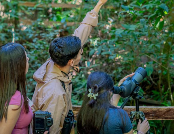 finca-lantana-birdwatching-guidepng