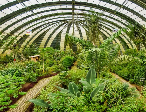 jardin-de-mariposas-selvatura-park-011