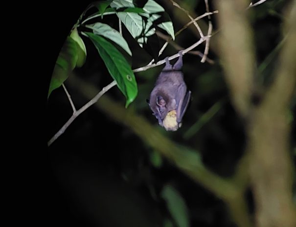 tour noche_resized_20241018_035423138