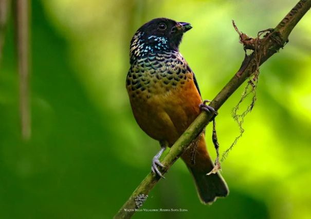 353031534_1331938337449641_1545702531195864923_n.webpfull