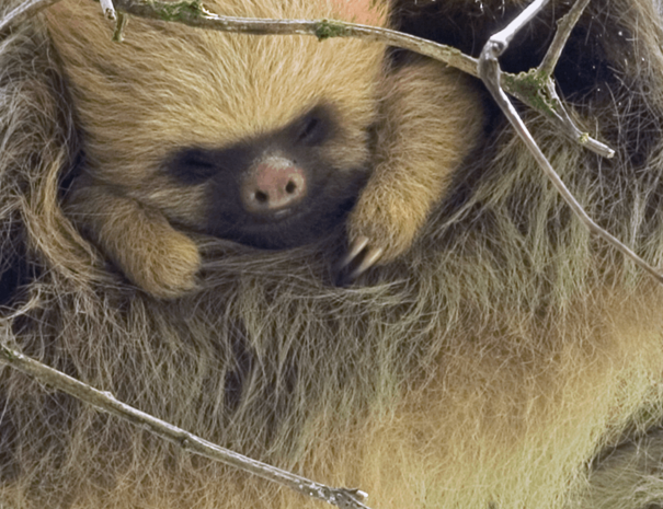 Captura-de-Pantalla-2021-02-23-a-las-1.26.10-p.-m.-1