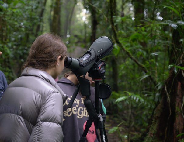 Tour_Aves_1._-_Giacomo_Parrajpg