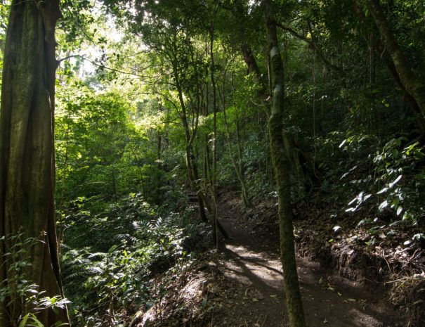 birdwatching-tour-gall-2