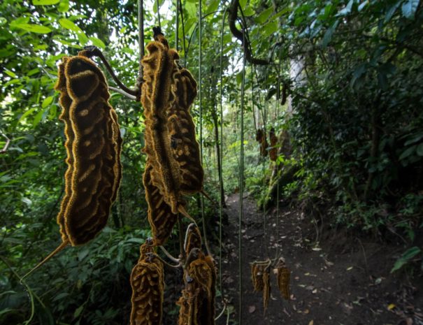 birdwatching-tour-gall-5