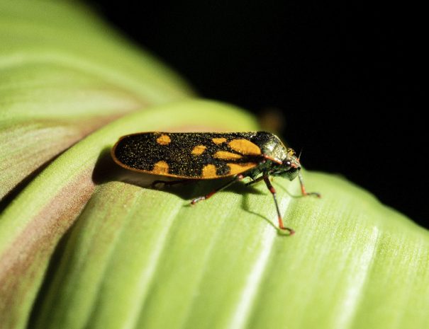 foto-refugio-night-26