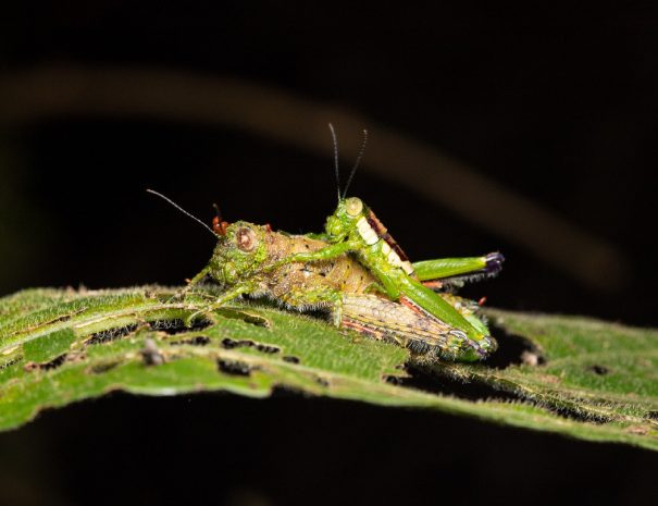 foto-refugio-night-28